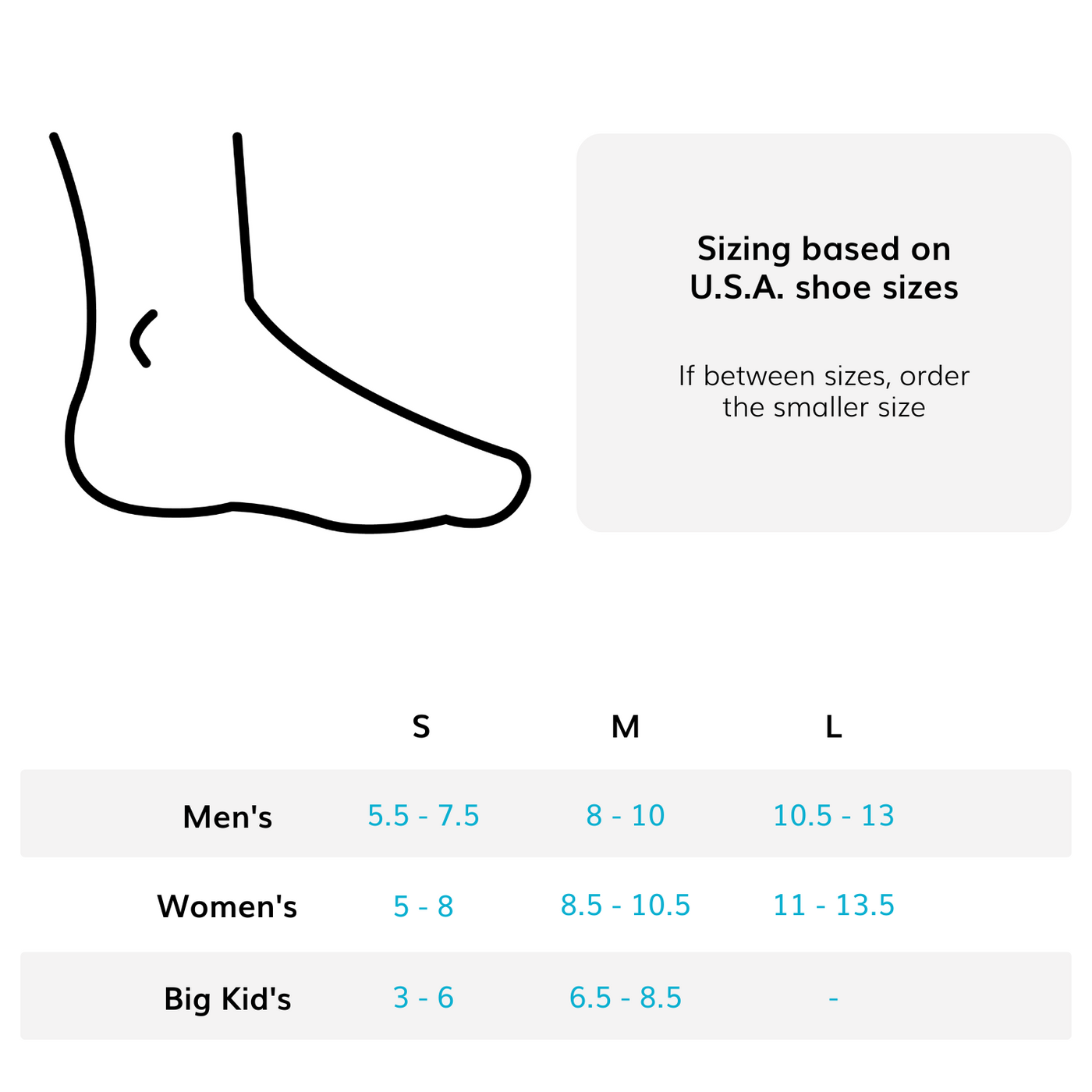 Evenup – PPL Biomechanics